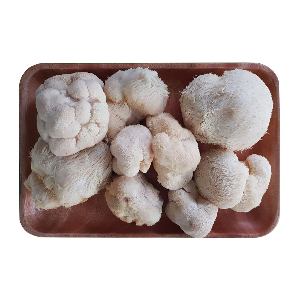 Nấm Đầu khỉ Tươi