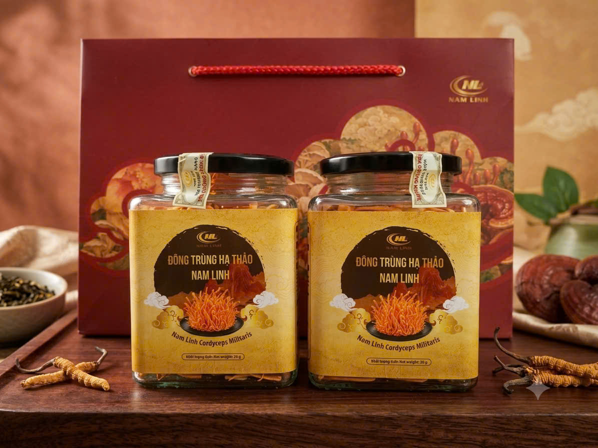 Đông trùng hạ thảo sấy thăng hoa 20g