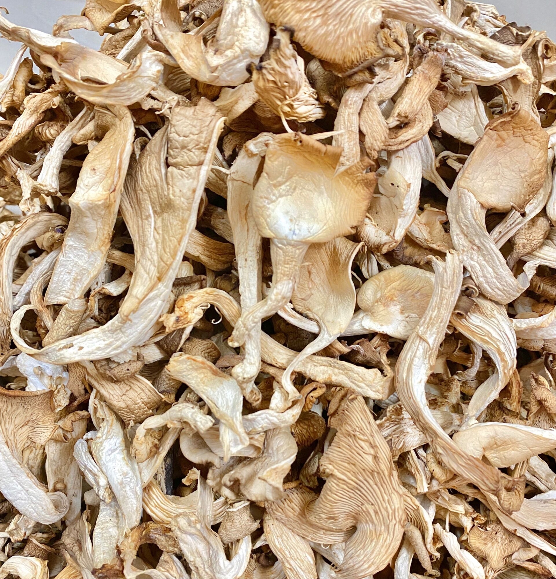 Nấm Bào ngư trắng sấy