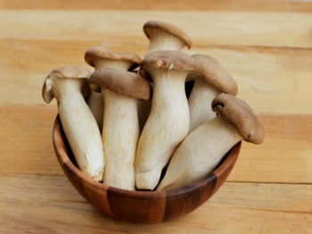 Gia vị Nấm là gì?