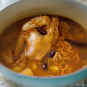 Canh Gà Đông Trùng Hạ Thảo