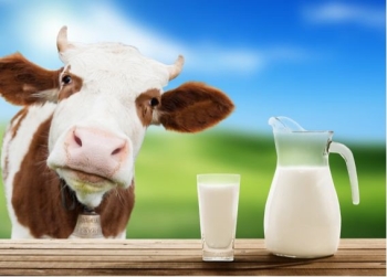 Tại sao huyết áp buổi sáng lại là thời điểm nguy hiểm nhất?