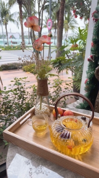 CÔNG DỤNG ĐÔNG TRÙNG HẠ THẢO ĐỐI VỚI BỆNH TIM MẠCH