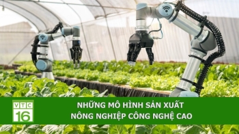 Bản đồ các quốc gia mạnh nhất về công nghệ nấm.