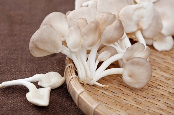Sợi sấy khô: 25 g
