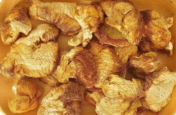 Nấm Đầu khỉ