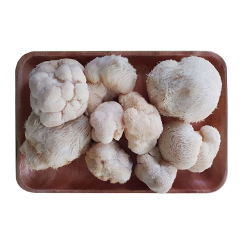 Nấm Đầu khỉ Tươi