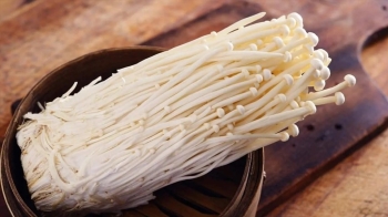 Nấm Kim châm là gì ?