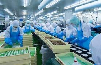 Vai trò của nấm trong công nghiệp