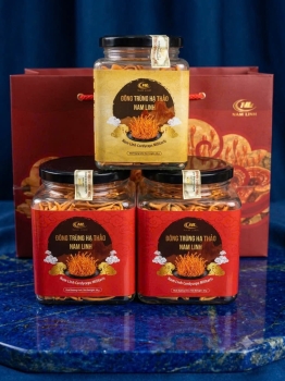 Nấm Đông trùng hạ thảo