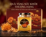 Đông trùng hạ thảo sấy thăng hoa 20g