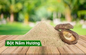 Các loại nguyên liệu nấm bột dùng làm thuốc (dược liệu nấm)