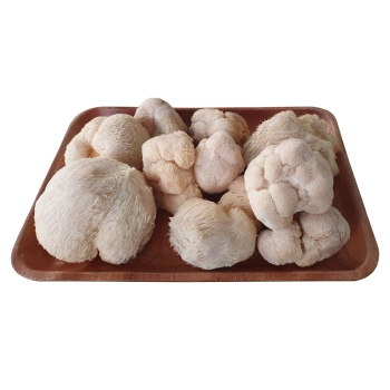 Nấm Đầu khỉ