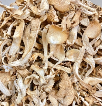 Nấm Bào ngư trắng sấy