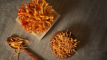 Sợi sấy khô: 100 g
