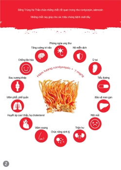 Sợi sấy khô: 100 g