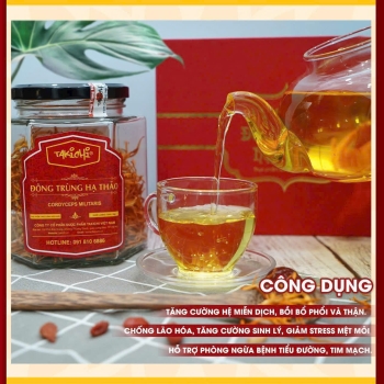 Đông trùng hạ thảo sấy lạnh lọ 50g