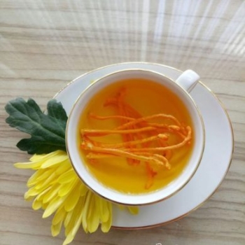 Trà nấm đông trùng hạ thảo