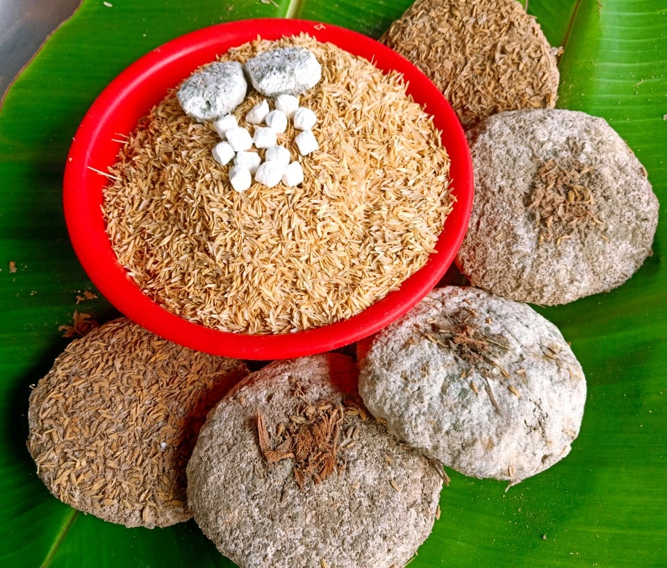 Nấm dùng trong lên men rượu là gì?